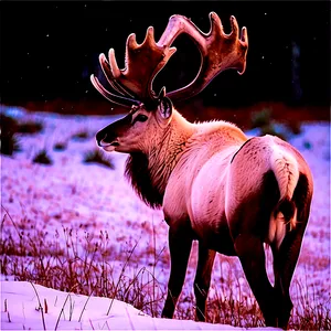 Caribou In The Wild PNG 25