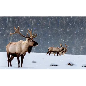 Caribou In Winter Wonderland PNG 81