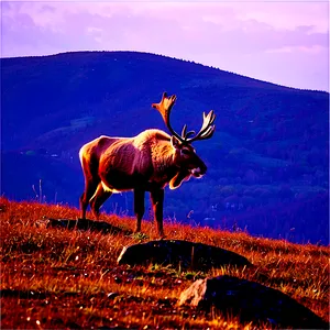 Caribou On Mountain Ridge PNG Jgd95 PNG