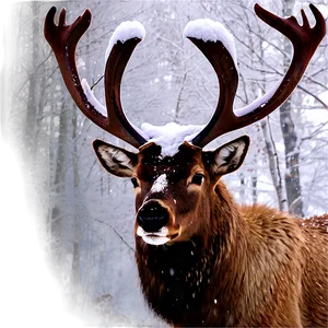 Caribou Standing In Snowstorm PNG 61