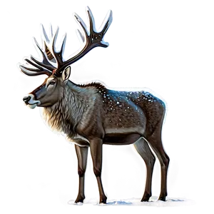 Caribou Standing In Snowstorm PNG Ehd