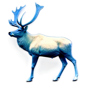 Caribou Under Starry Sky Png 67 PNG image