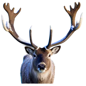 Caribou With Snowy Backdrop PNG 06292024