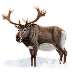 Caribou With Snowy Backdrop PNG 06292024