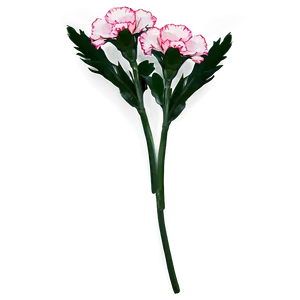 Carnation Cluster PNG Mgc91
