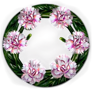 Carnation Flower Circle PNG 06252024 PNG