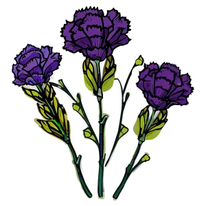 Carnation Flower Drawing PNG Vpq48