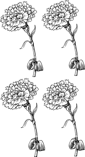Carnation Sketch Pattern PNG
