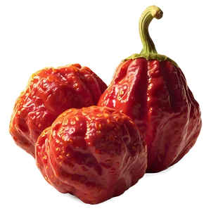 Carolina Reaper Chili Pepper PNG Kuo PNG