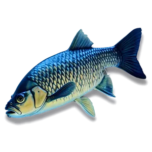 Carp Fish Shadow Png Jbs69 PNG image