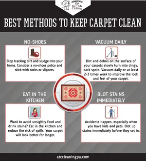 Carpet Cleaning Tips Infographic PNG image