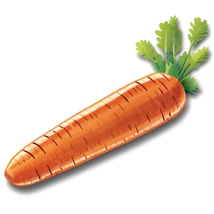 Carrot Batons PNG 06132024