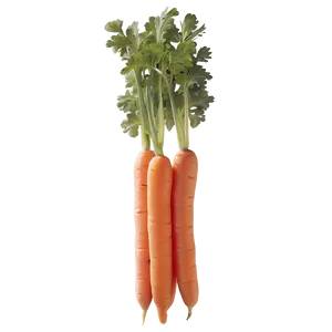 Carrot Batons PNG 91