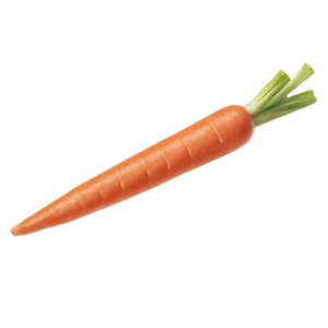 Carrot Batons PNG Ixk