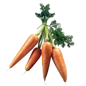 Carrot Cluster PNG Amh PNG