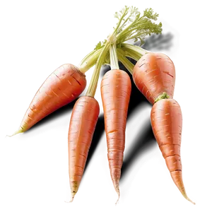 Carrot Cluster PNG Fhq PNG