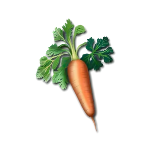 Carrot Drawing Png 43 PNG image