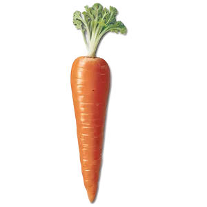 Carrot Garnish PNG Yyy