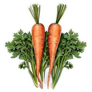 Carrot Patch PNG Mus78 PNG
