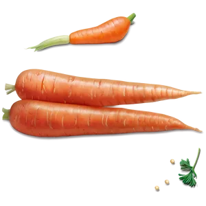 Carrot Patch Png Xba31 PNG image