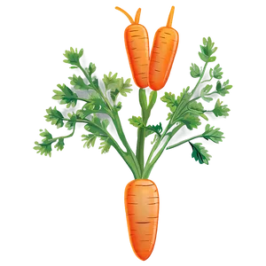 Carrot Plant Clipart PNG 06272024