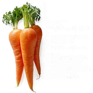 Carrot Salad PNG Kkj87 PNG