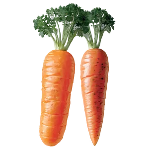Carrot Shred PNG 06132024