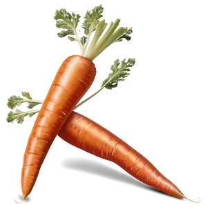 Carrot Sticks PNG 22