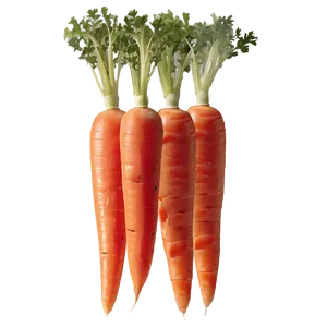 Carrot Sticks PNG 67 PNG