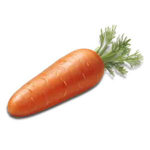 Carrots C PNG image