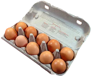 Cartonof Brown Eggs PNG image