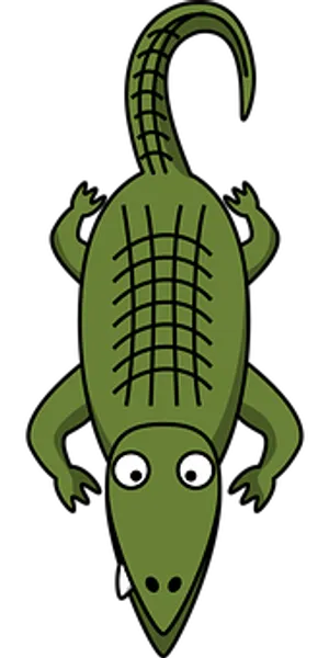 Cartoon Alligator Top View Illustration PNG image