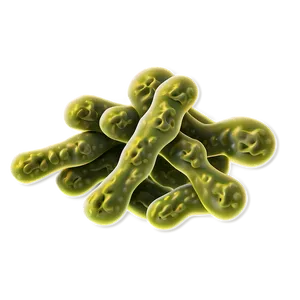 Cartoon Bacteria PNG Ocd PNG