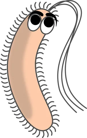 Cartoon Bacterium Character