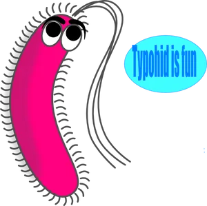 Cartoon Bacterium Typhoid Fever PNG