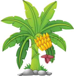 Cartoon Banana Tree With Fruit Cluster PNG image