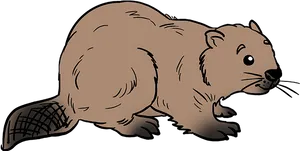 Cartoon Beaver Illustration PNG image