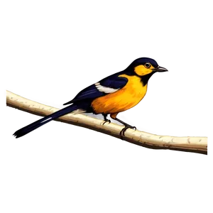 Cartoon Bird At Sunset PNG Lnn