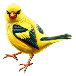 Cartoon Bird Eating Seed PNG 59 PNG
