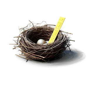 Cartoon Bird Nest Png Vsp44 PNG image