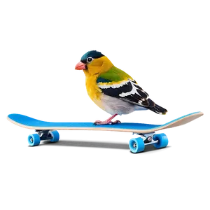 Cartoon Bird On Skateboard PNG 94 PNG