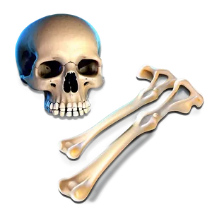 Cartoon Bones Png 05242024 PNG image