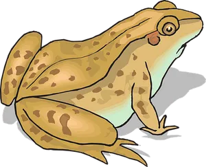 Cartoon Brown Frog Illustration