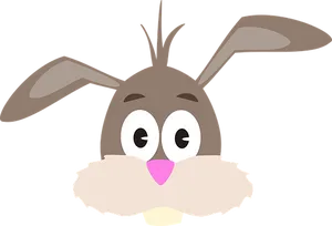 Cartoon Bunny Face Graphic