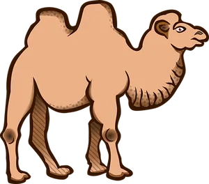 Cartoon Camel Illustration