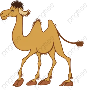 Cartoon Camel Illustration