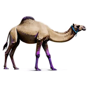 Cartoon Camel PNG Mdm