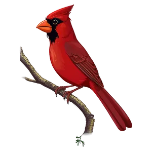 Cartoon Cardinal Bird PNG Kwb PNG