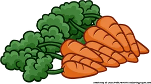 Cartoon Carrots Bunch Illustration PNG image