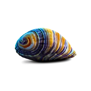 Cartoon Clam Png Rsp52 PNG image
